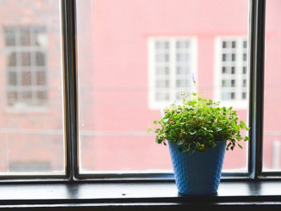 引领数字变革的CC在线压力测试